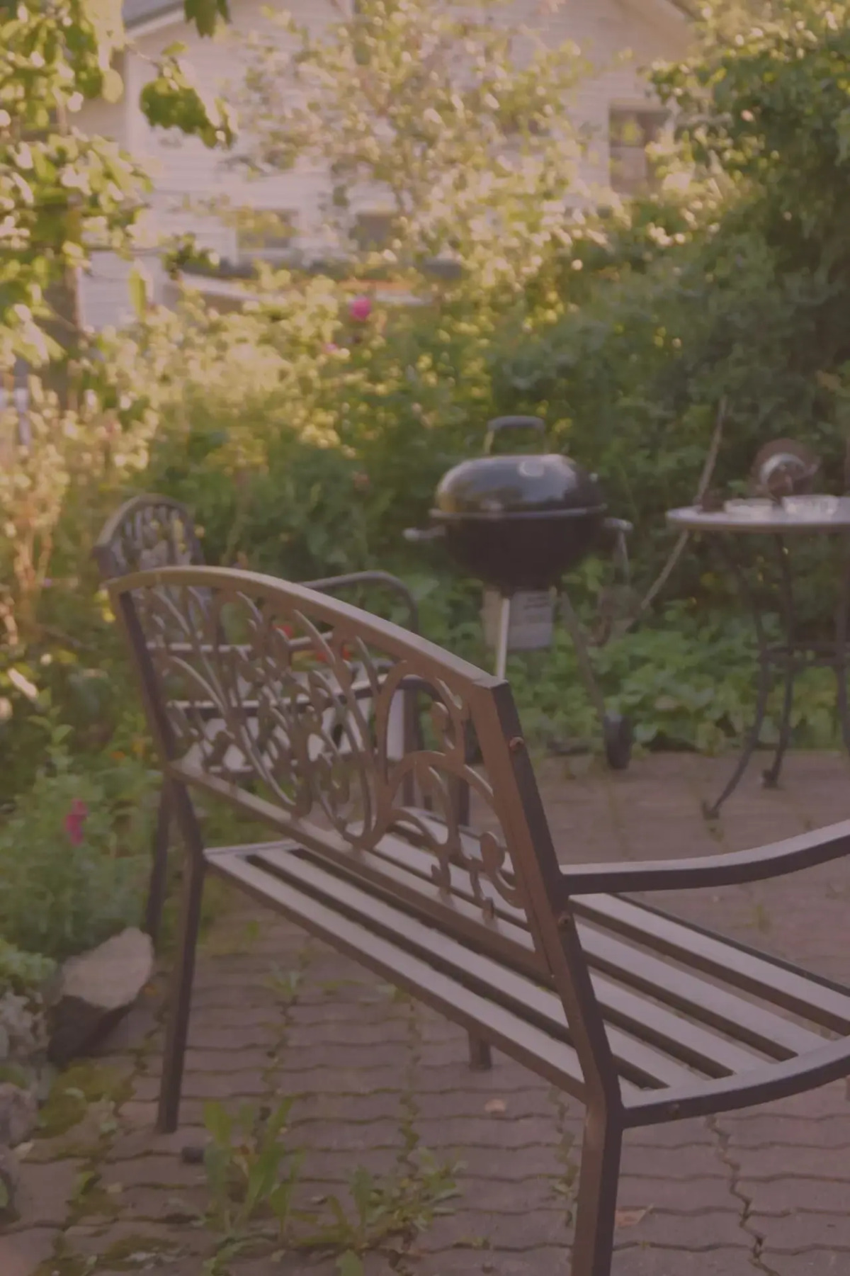 Хутор Старая Кууса