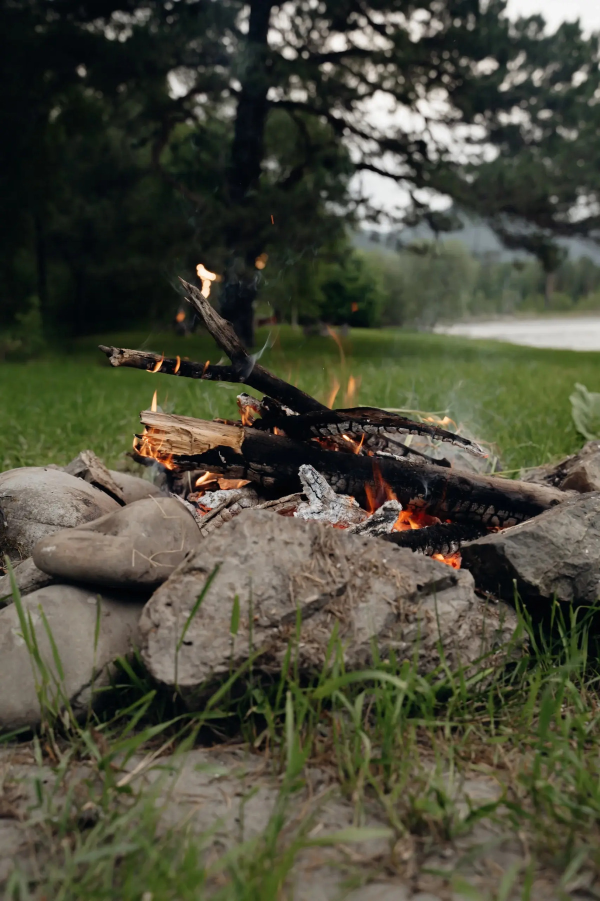 Глэмпинг Камышла Парк