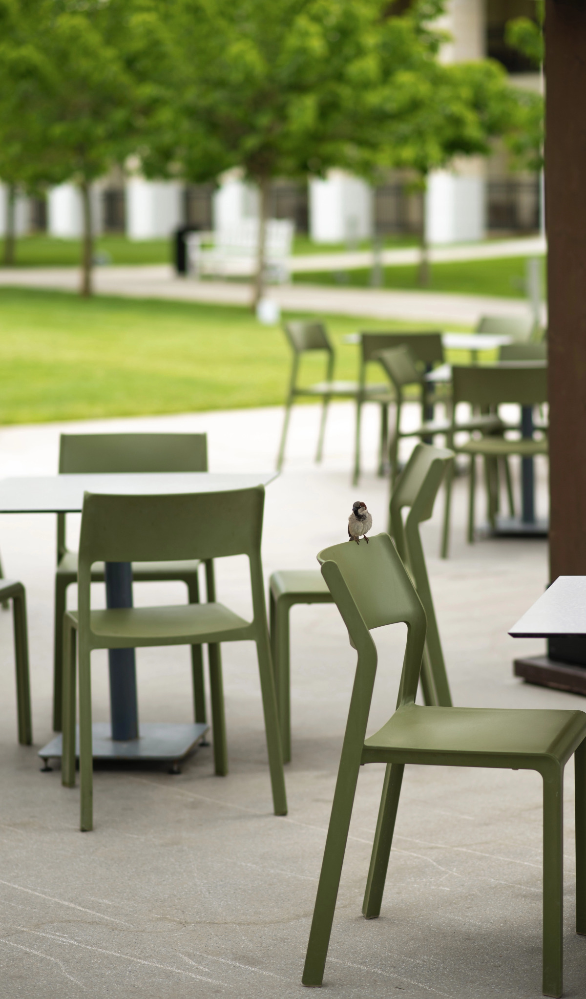 Rixos Water World Aktau - Theme Park Free Access