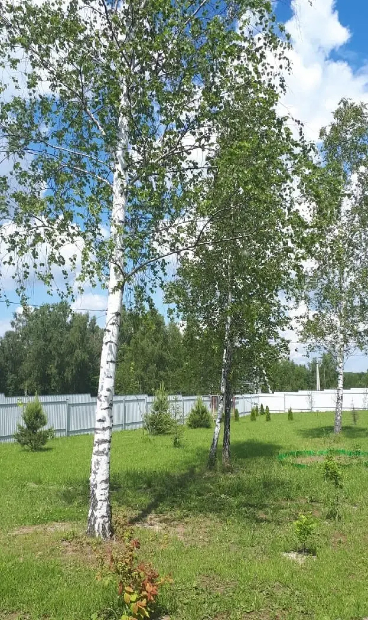 Дом баня Боярыня