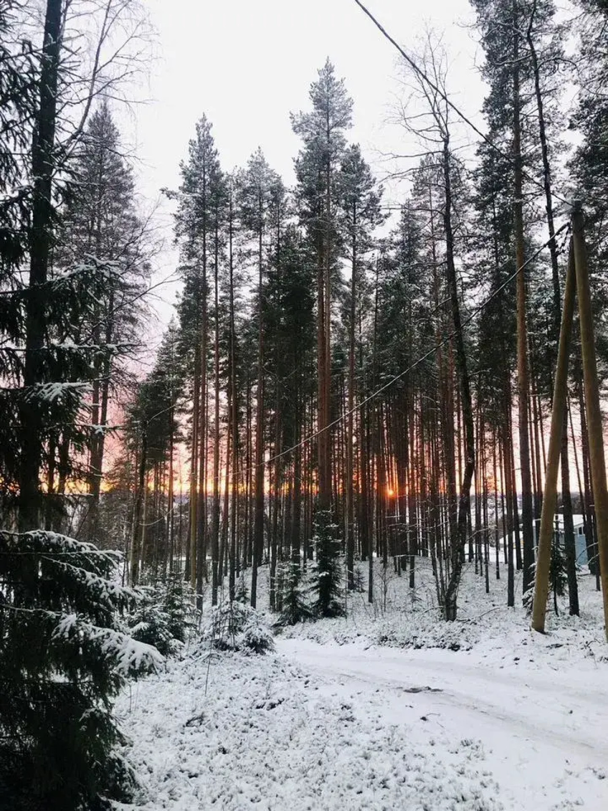Частный дом Баpнxауc в Сосновом Бору