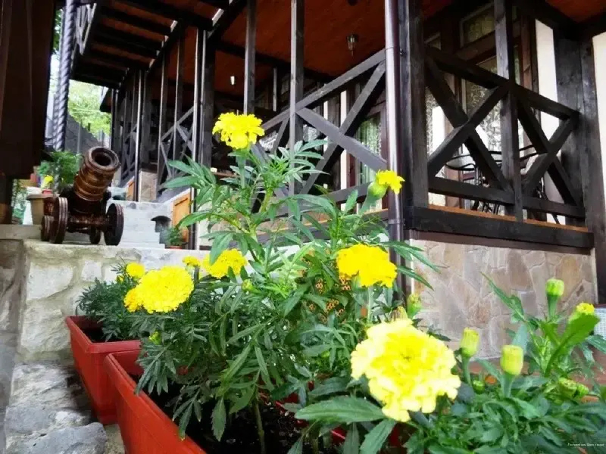 Гостевой дом Шале у Моря