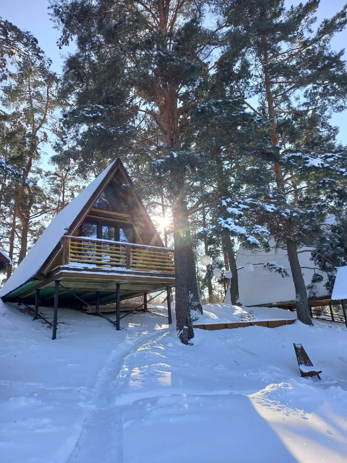 Гостевой дом Под соснами