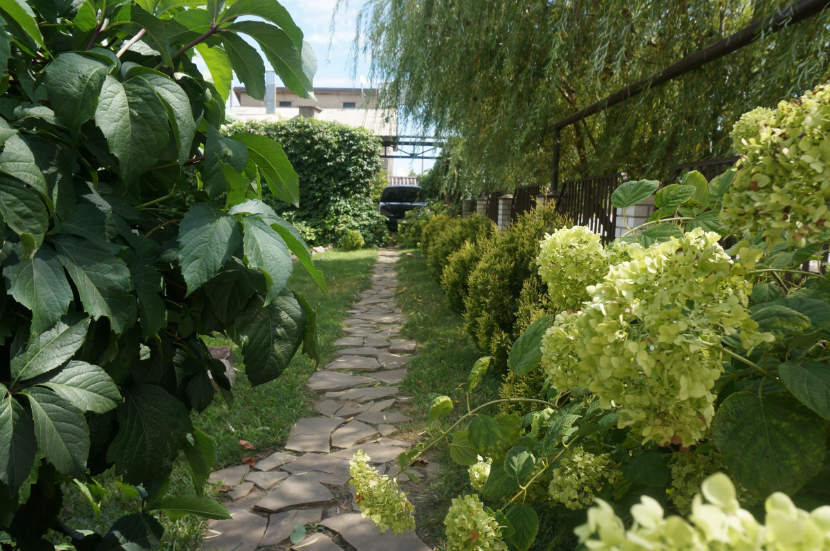 Гостевой дом B&B