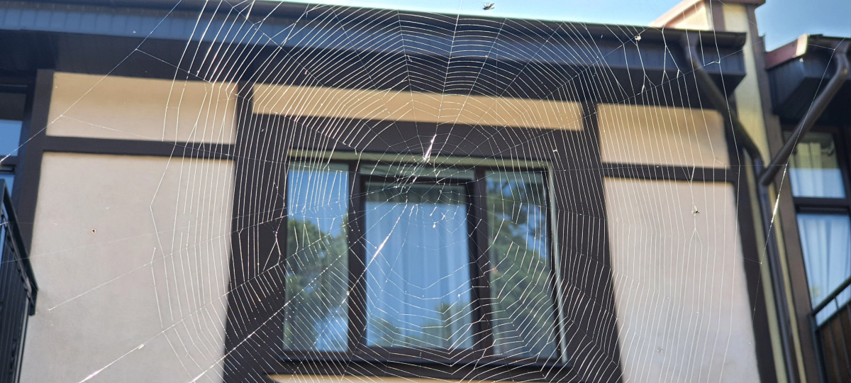 Частный дом на улице Лесная 36