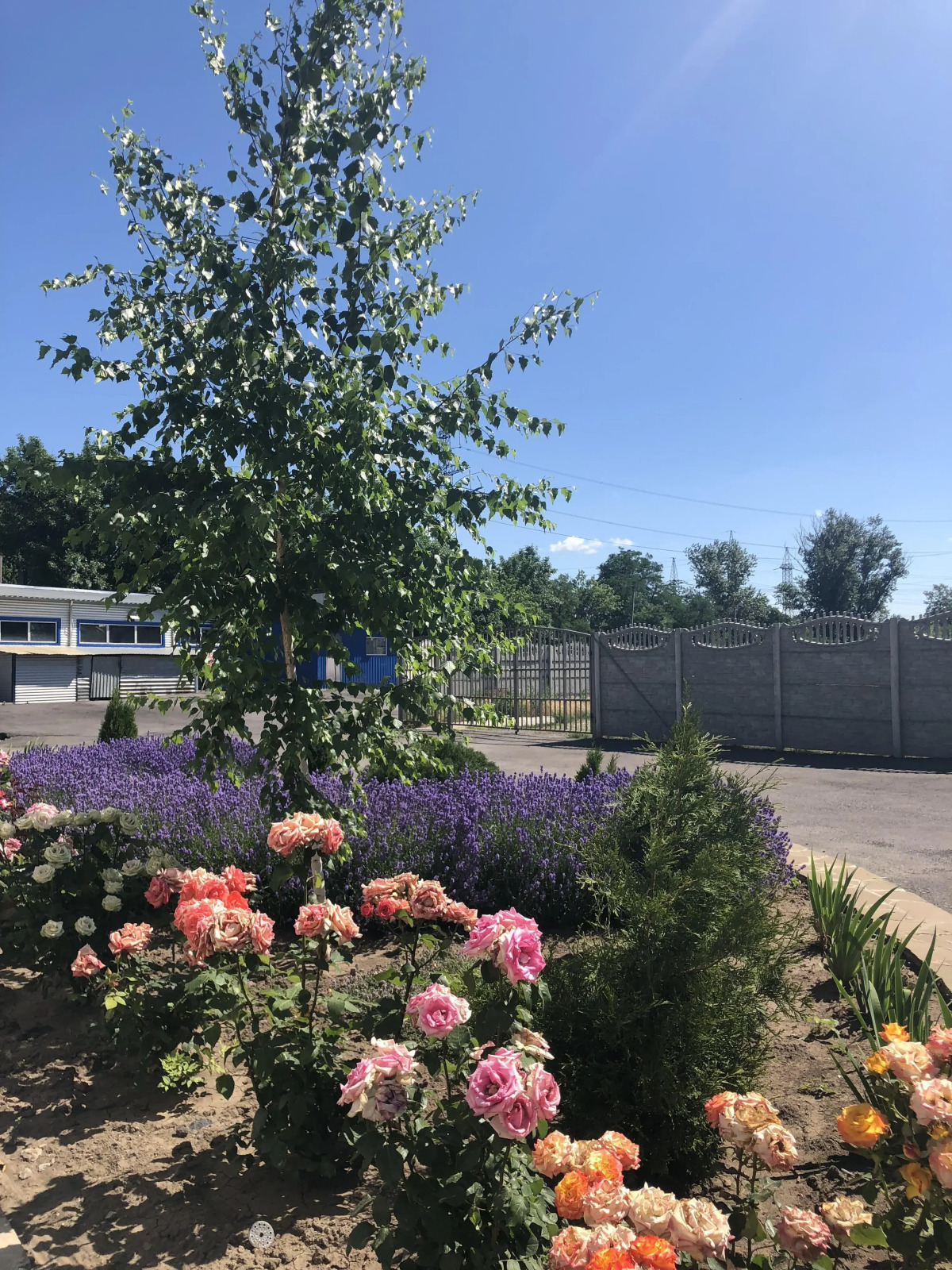 Отель Вольта