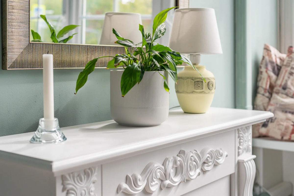 Апартаменты  Comfort Life в Измайлово Positive Vibes