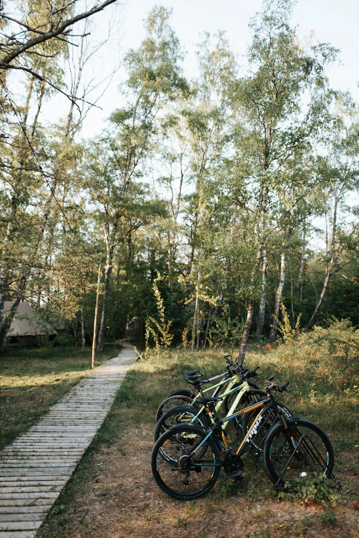 Поляна Глэмпинг, 1-я линия моря (12+)