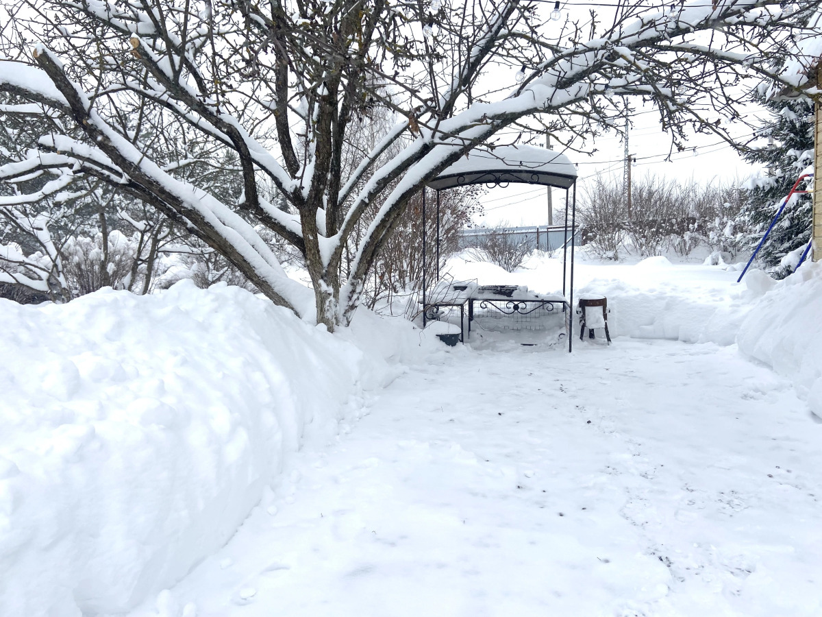 Частный Дом Гостевой Дом Pine Housе