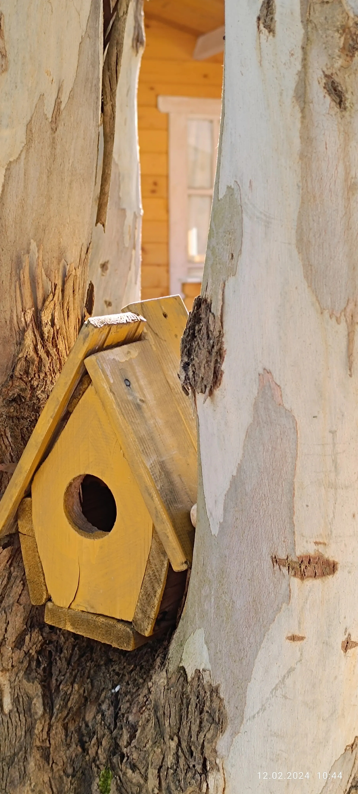 База отдыха Нарт отель