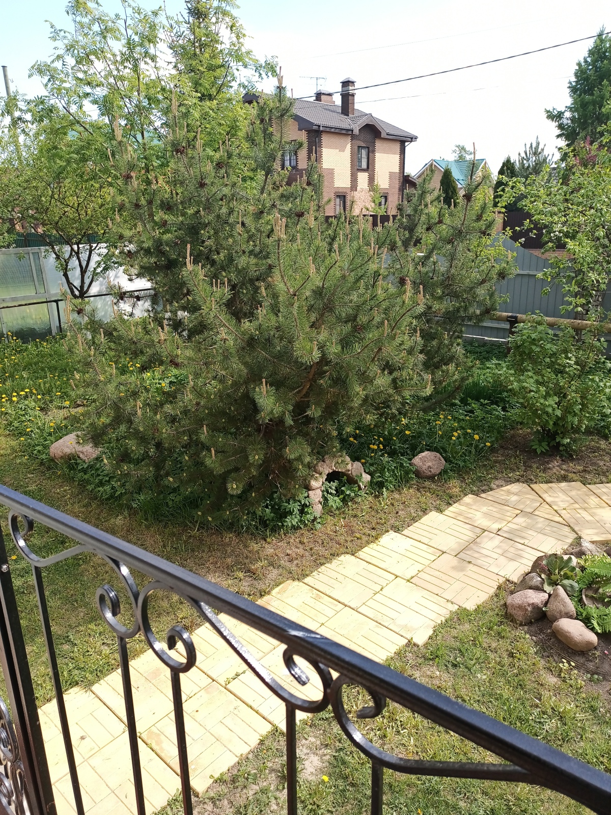 Гостевой дом Мариенбург Гатчина