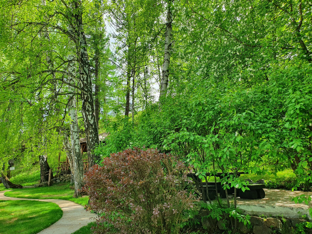 Гостевой Дом Каменный Цветок