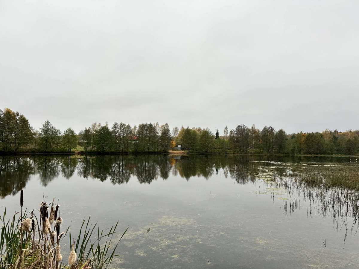 Частный дом Уютный Барнхаус в коттеджном поселке