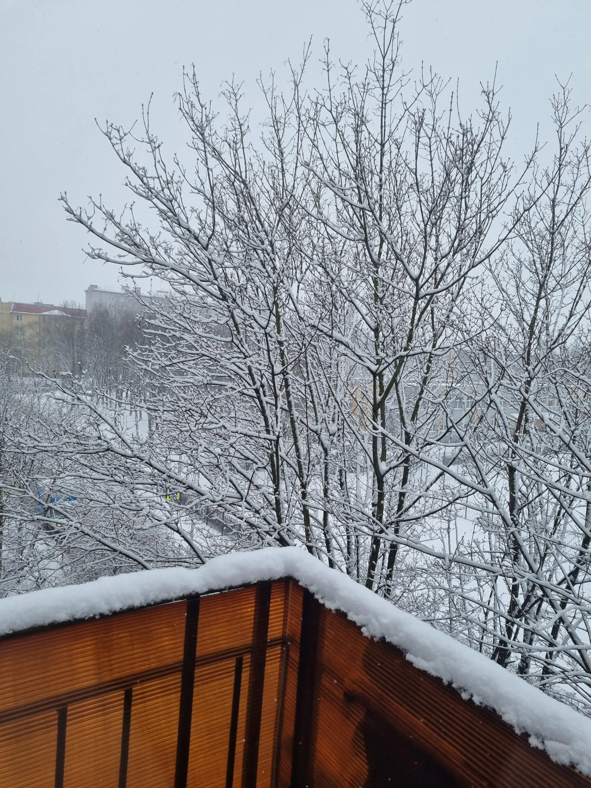 Апартаменты в самом центре Калининграда