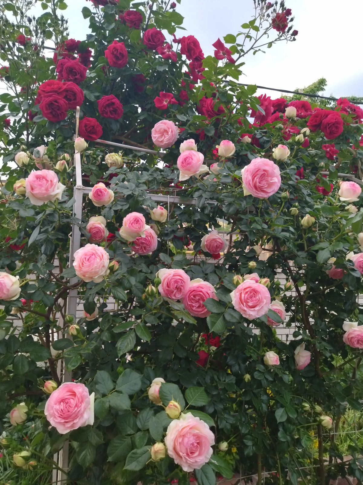 Гостевой Дом Елена