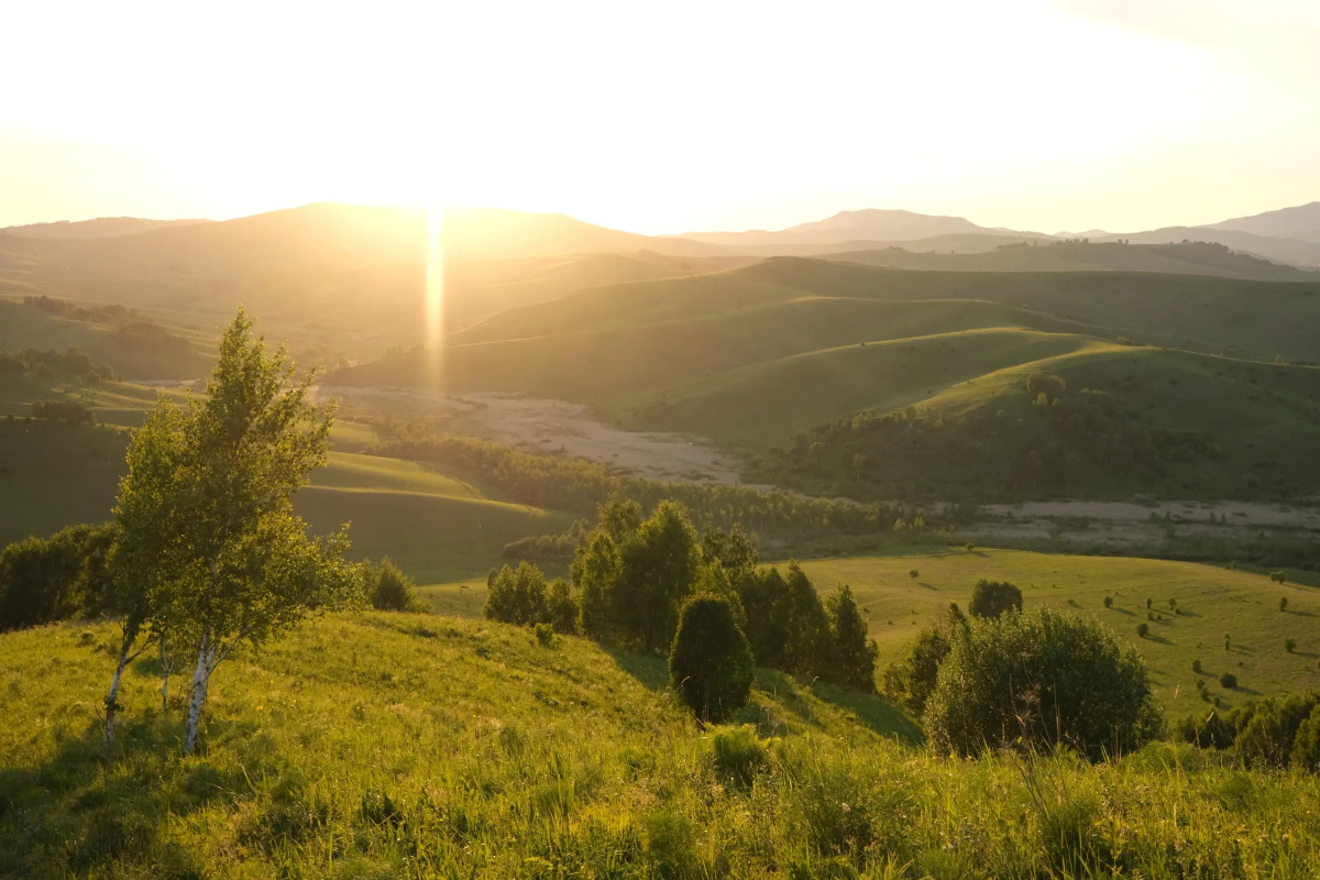 База Отдыха Олимп