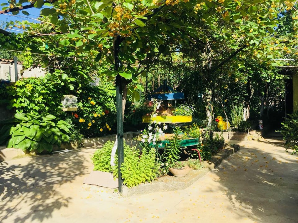 Гостевой Дом Green House Telavi