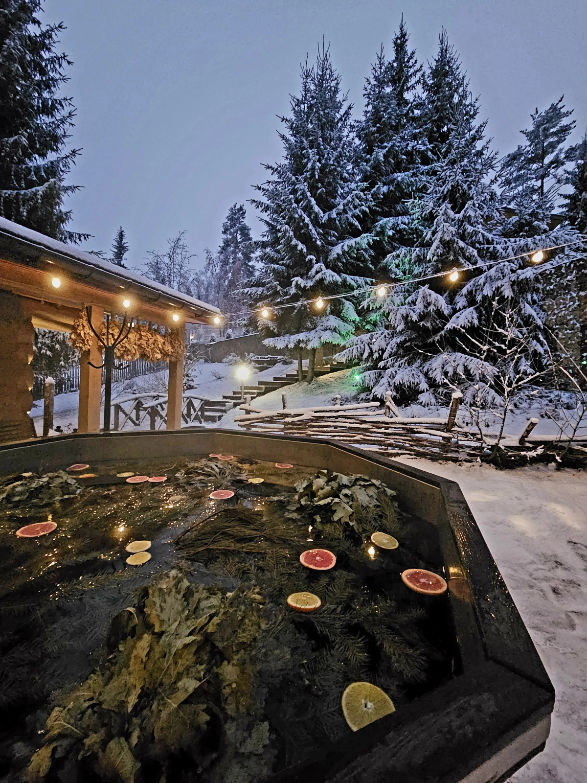 Коттедж Черничный Склон Forest House