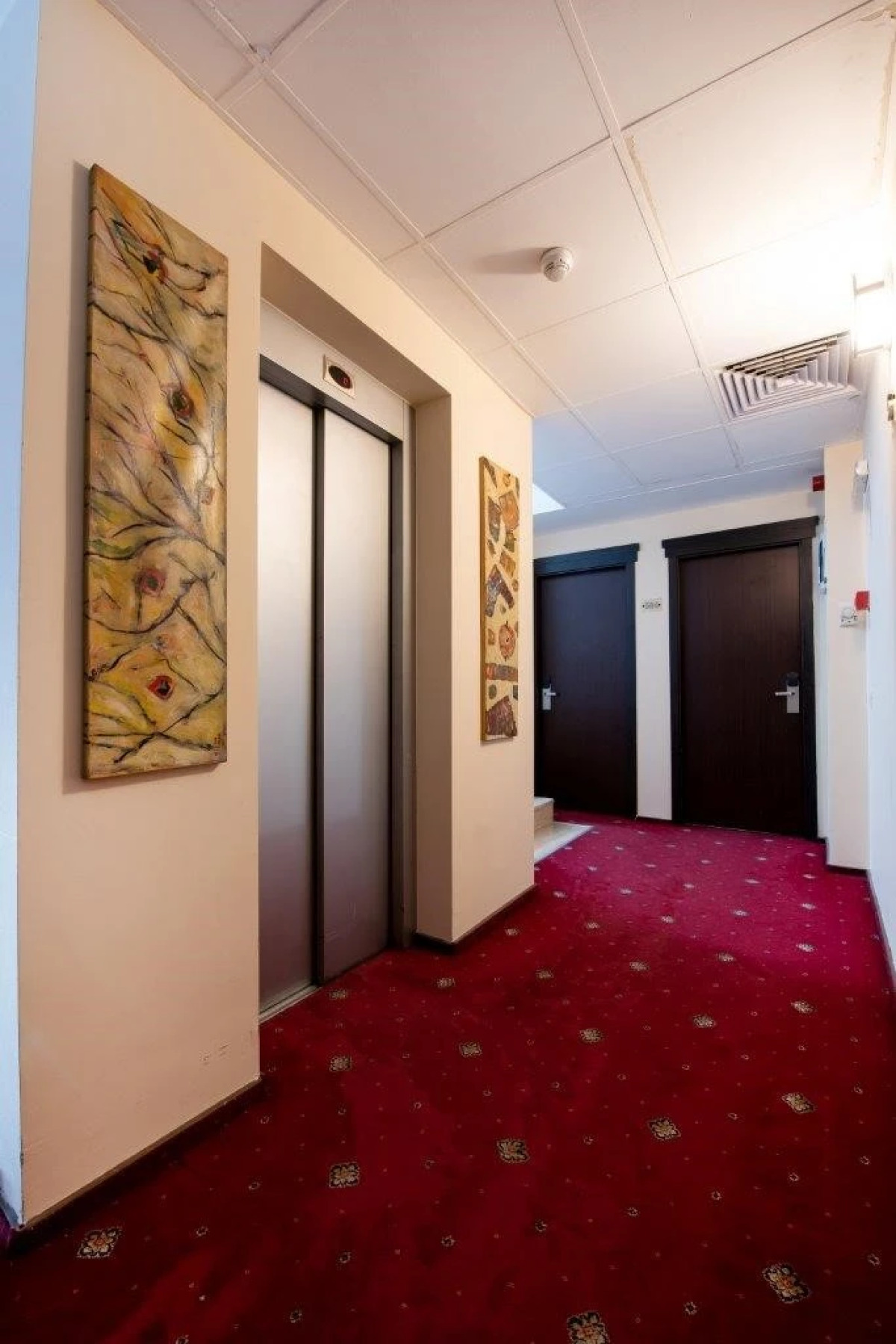 Hotel Duke Armeneasca