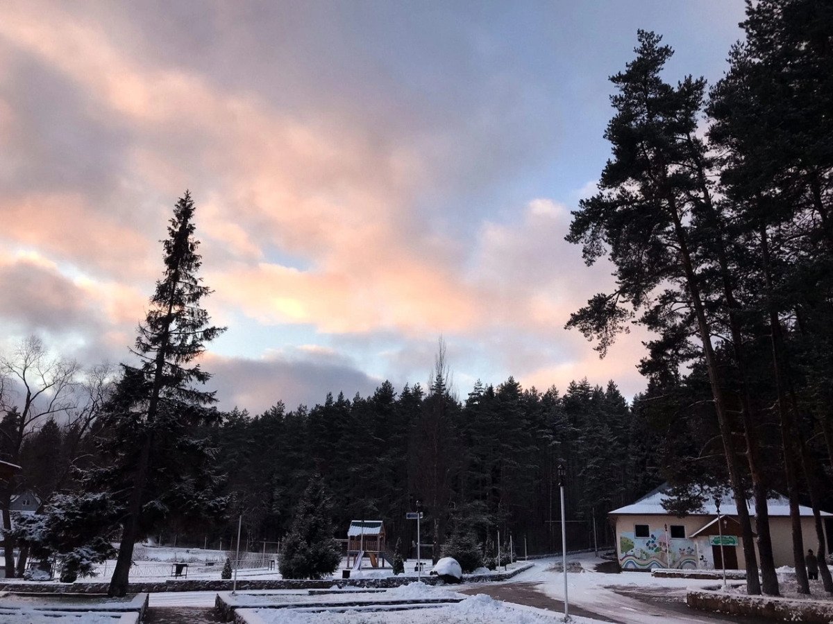 Отель Лесная Сказка