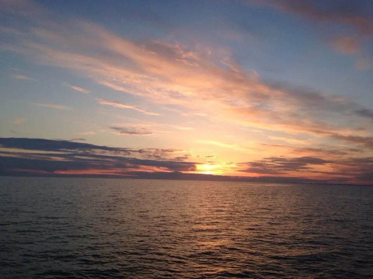 Отель Gala Paradise