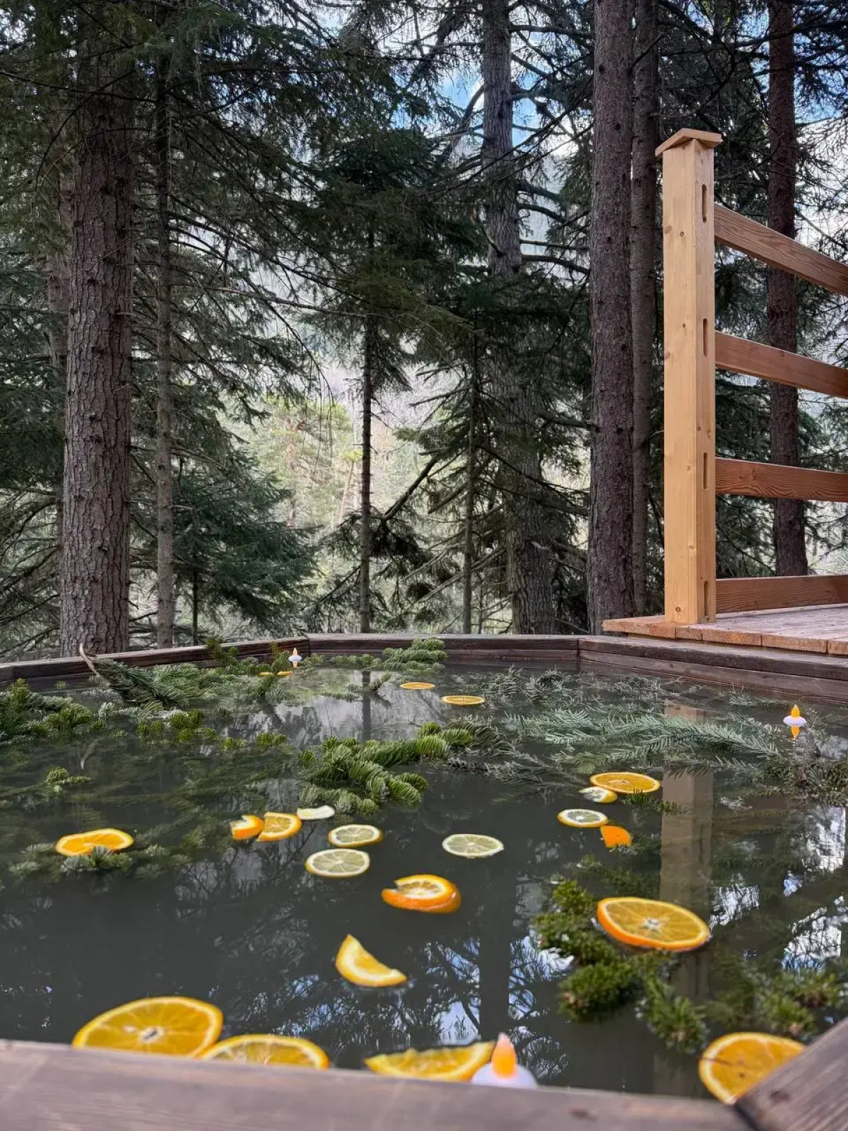 База отдыха Монте Виера парк Архыз