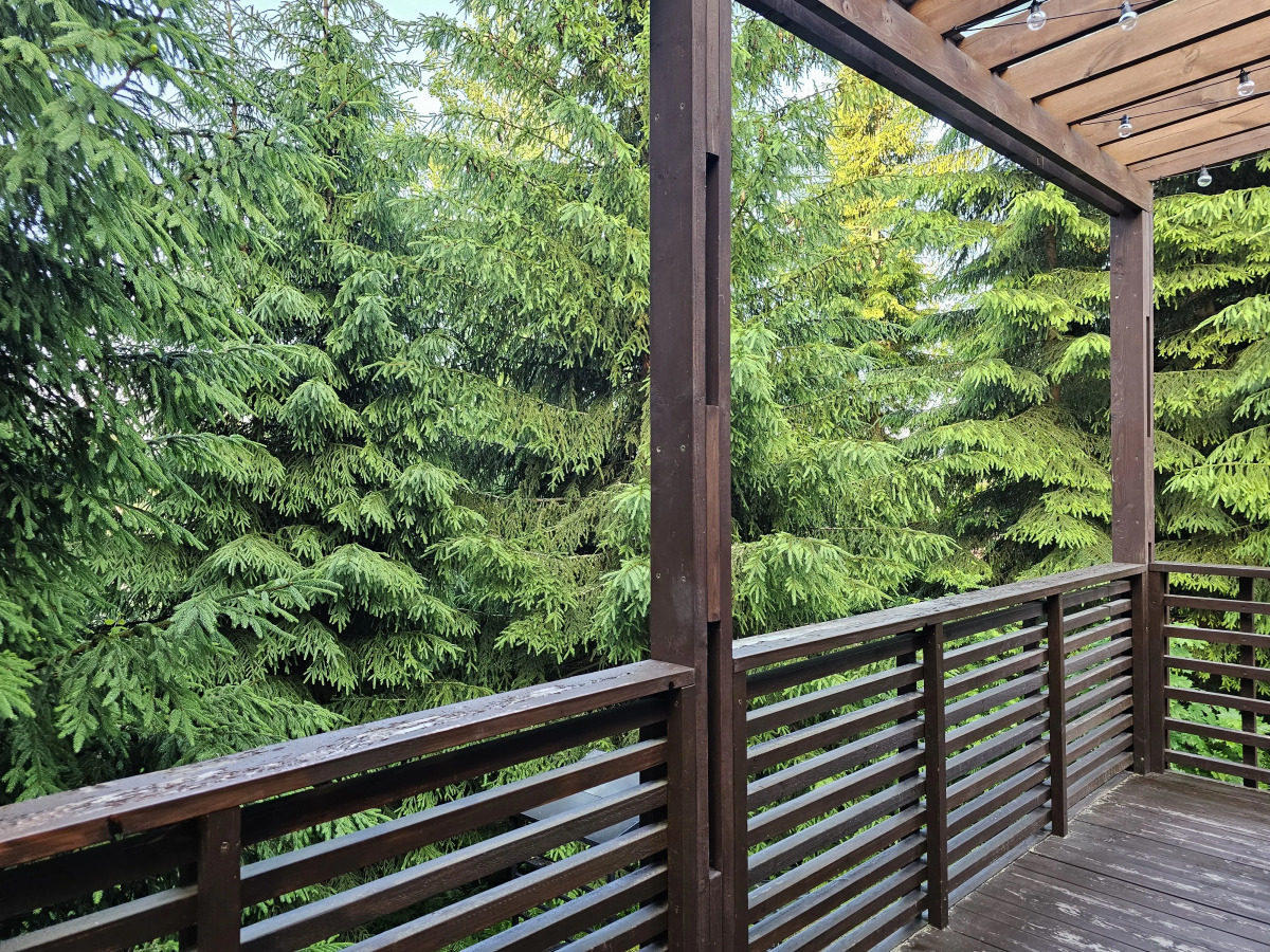 Коттедж Черничный Склон Forest House