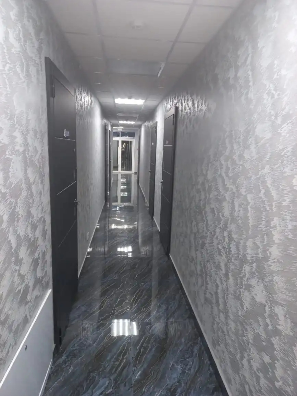 Отель Звездный