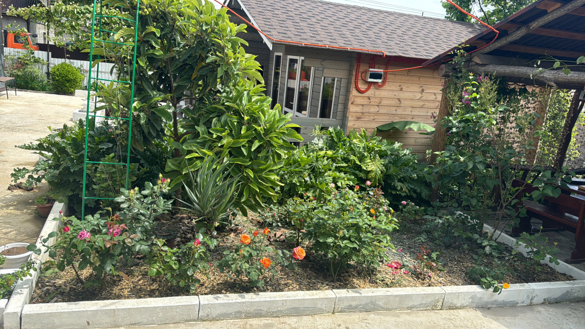 Гостевой дом Авокадо