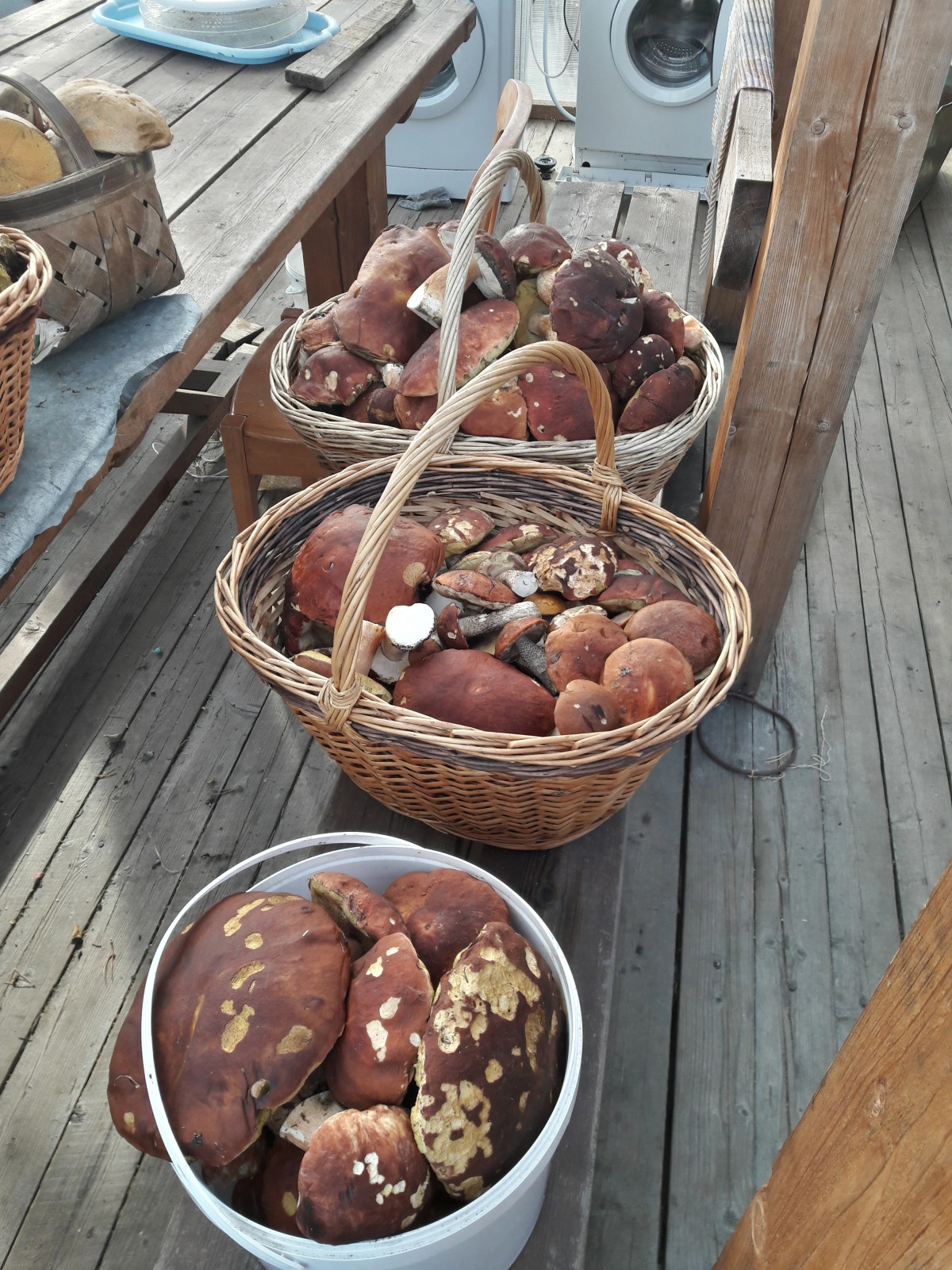 Гостевой Дом Тулокса