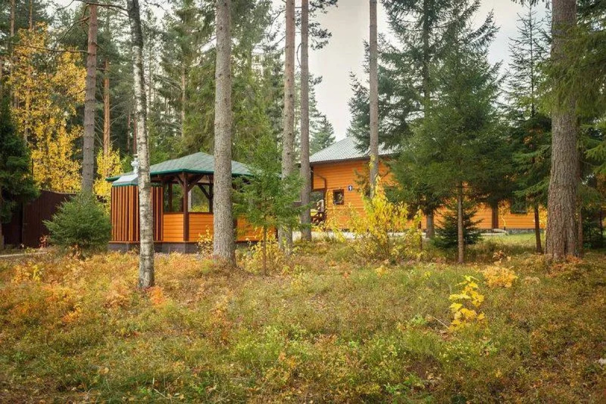 Гостевой дом Green Forest у Игоры