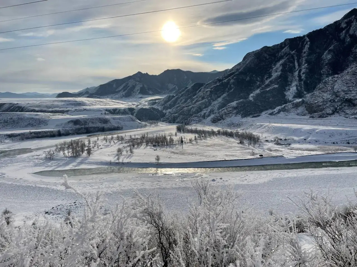 Гостевой дом Дикий Ёж