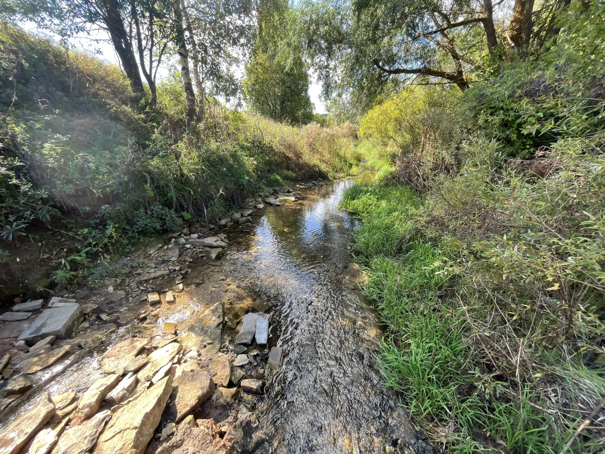 Частный дом с видом на Дивеевский Монастырь
