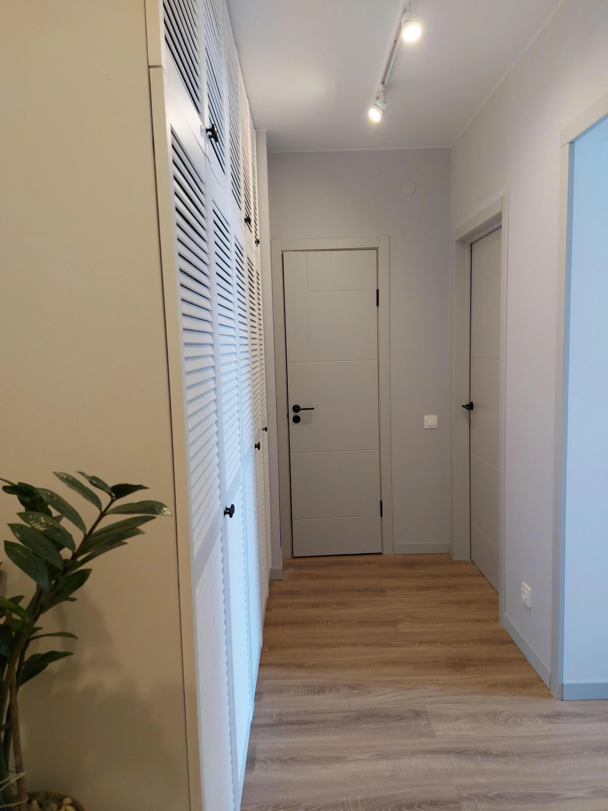 Апартаменты Уютные новые апартаменты Светлогорск