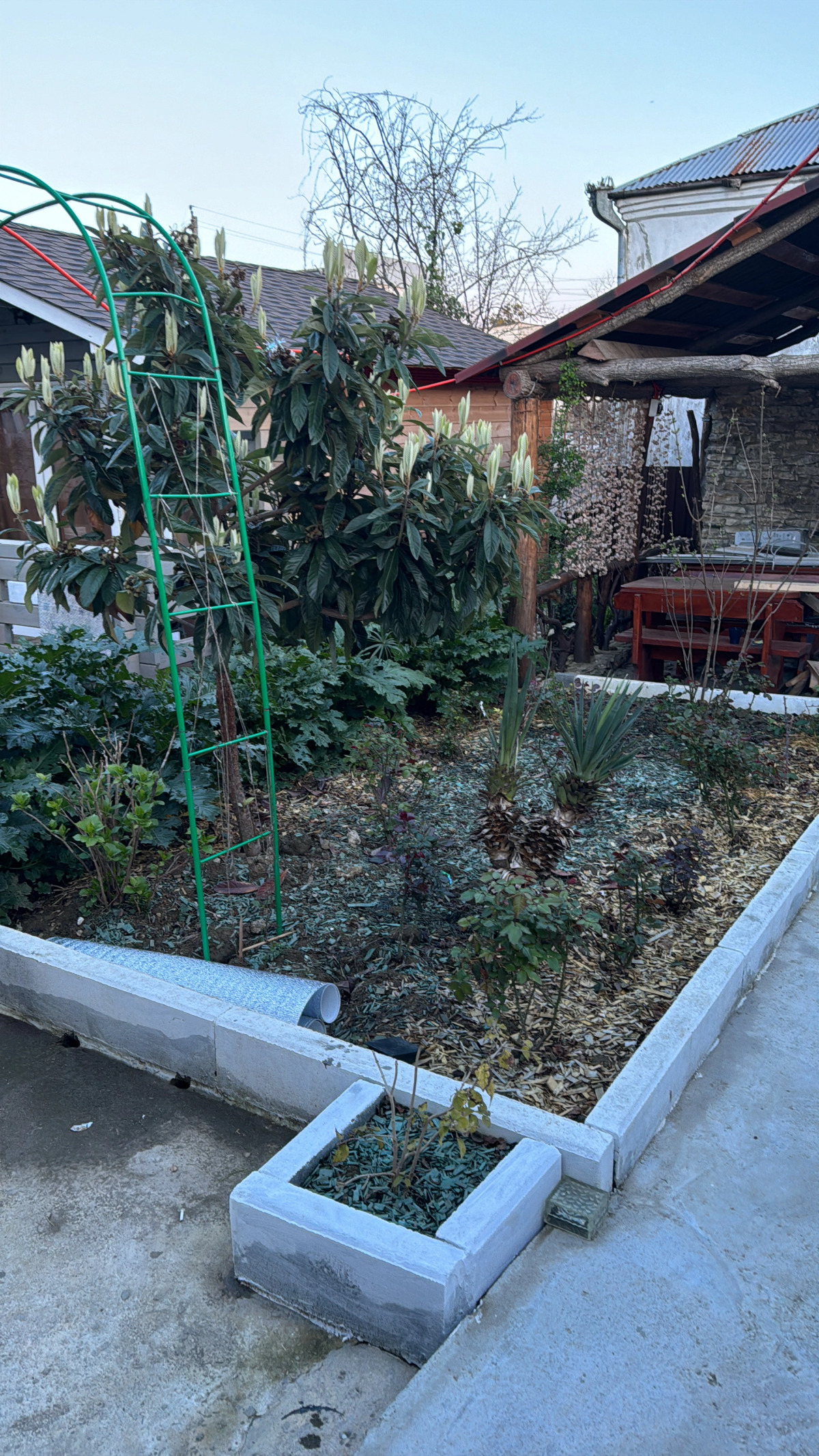 Гостевой дом Авокадо