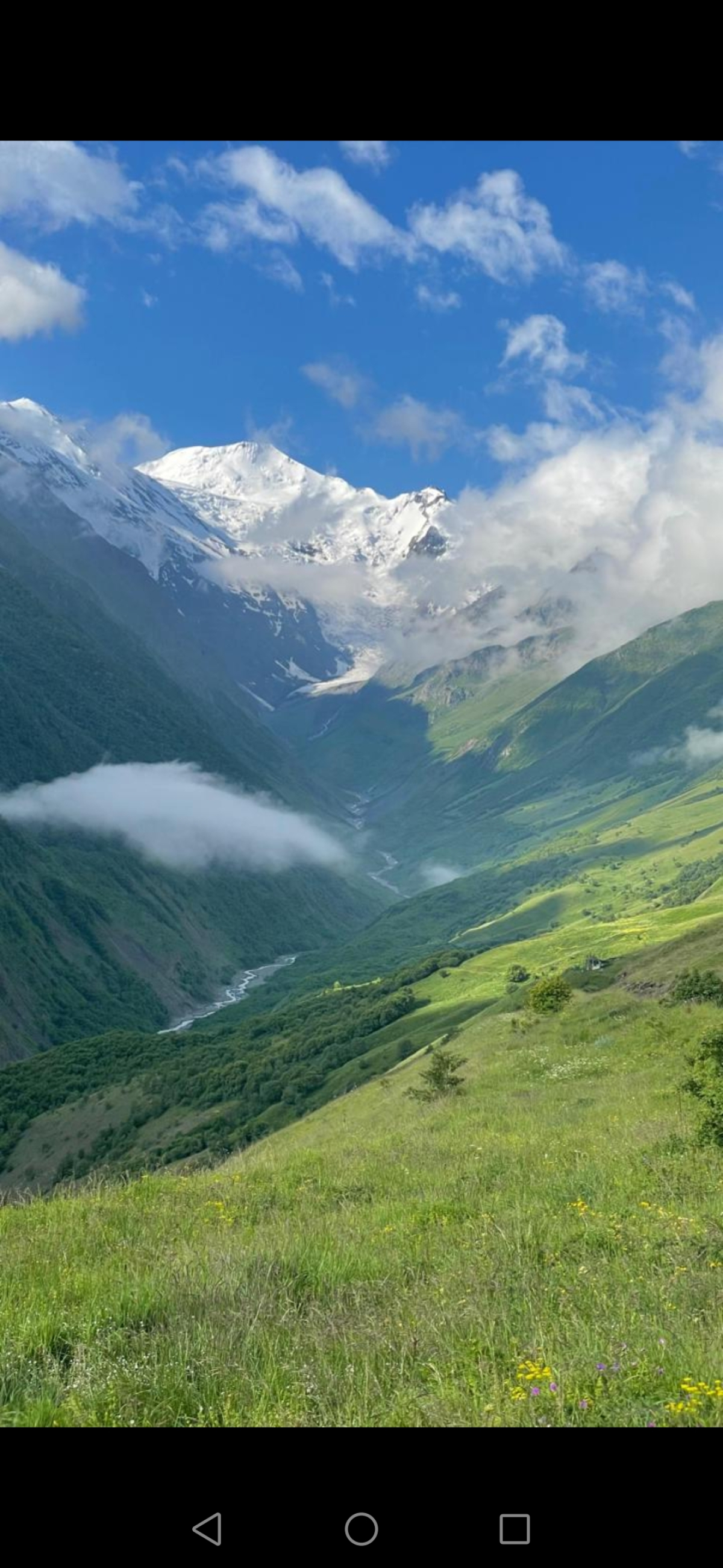 Квартира по дороге Шелкового пути