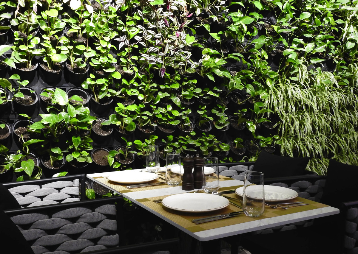 Отель Marjan Plaza