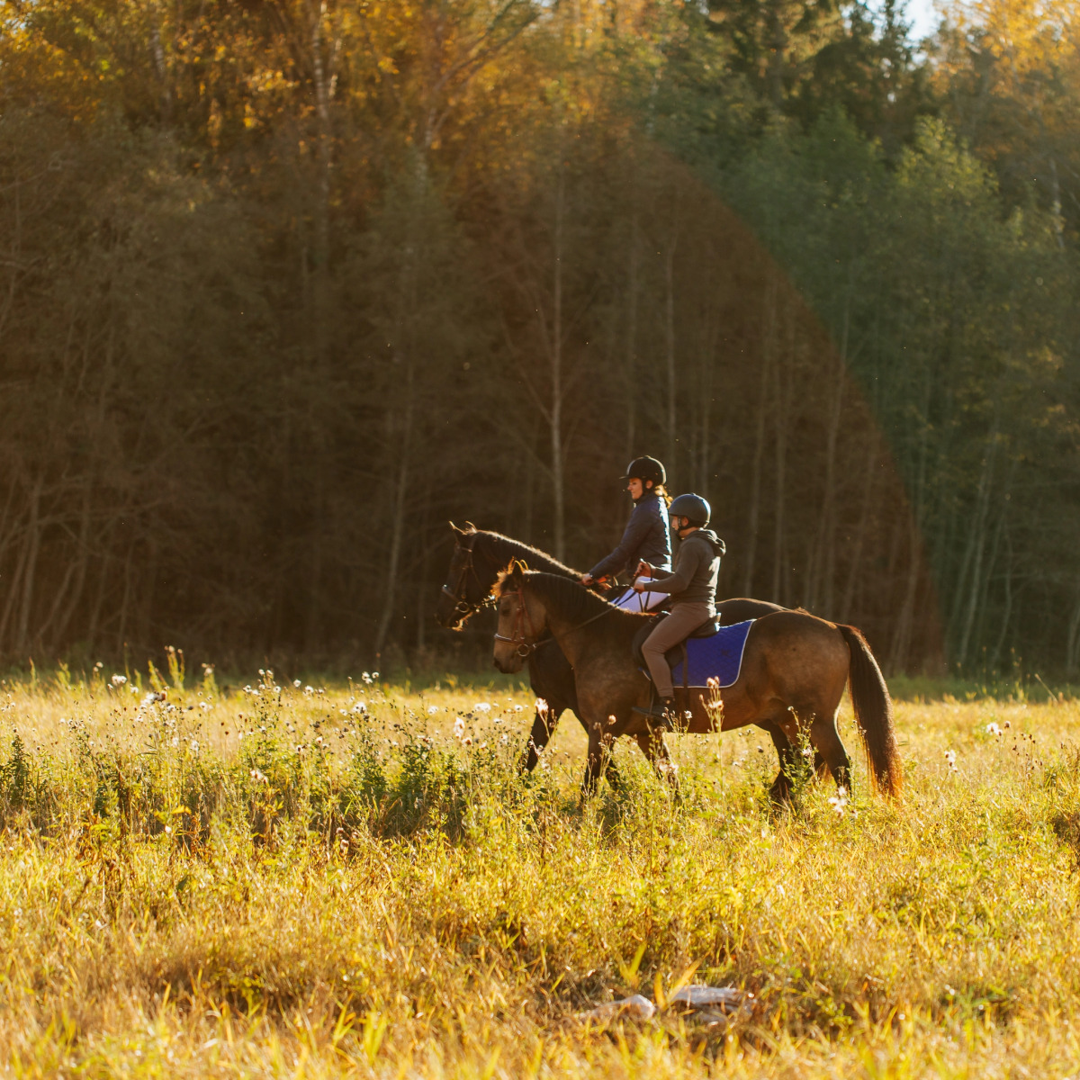 База отдыха Агротуристический комплекс Эль Ранчо