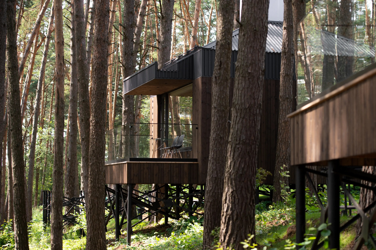 Гостевой дом Wish Home Лесной Берег (Виш Хоум)