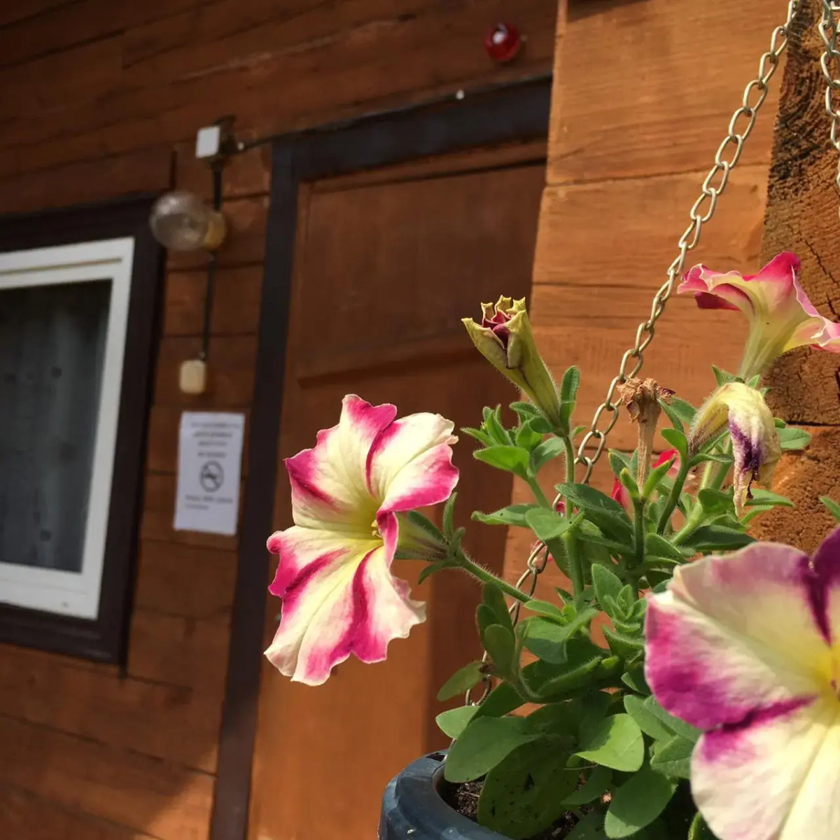 База отдыха Ольхон