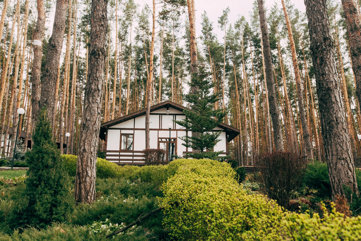 База Отдыха Загородный Клуб Донской Лес