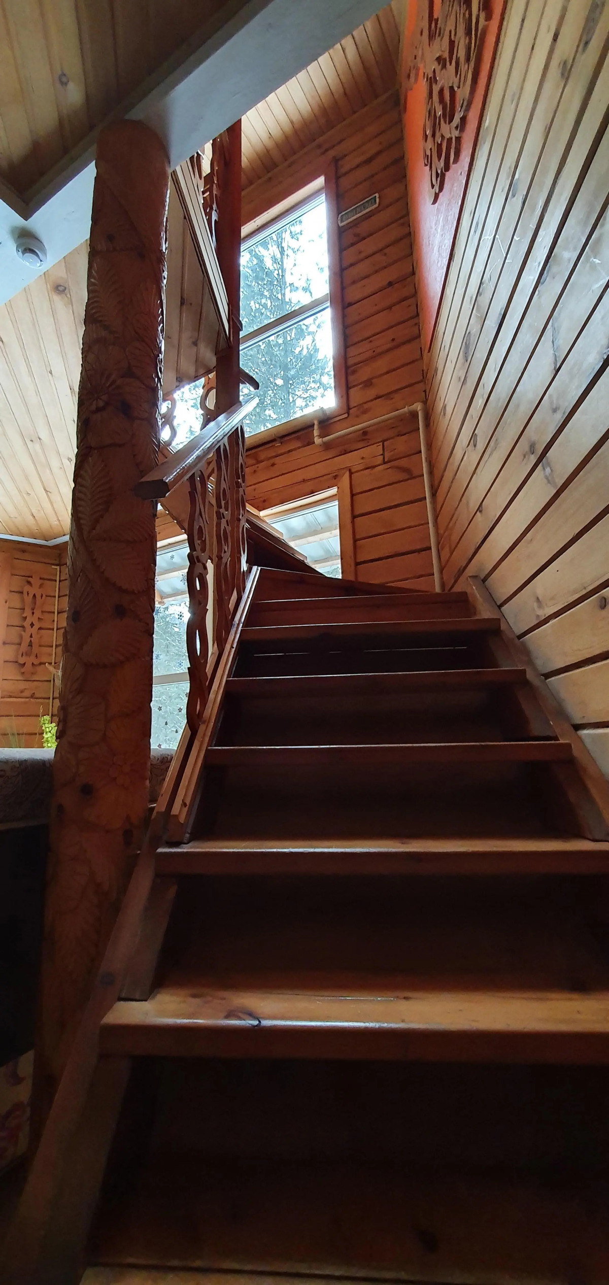 Парк-отель Бия Заповедная