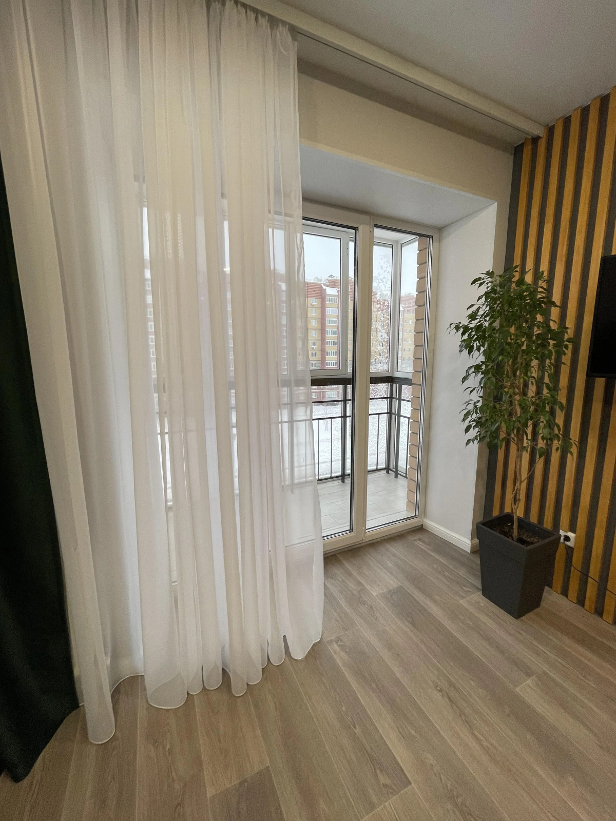 Квартира Монстера