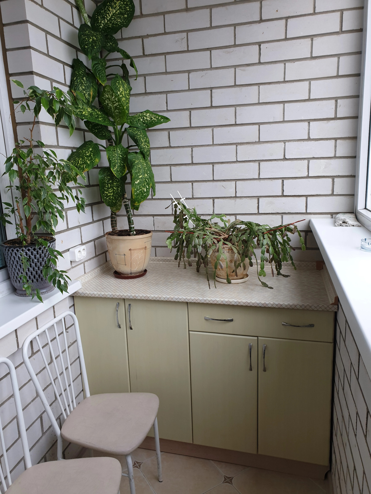 Апартаменты Пандора Флагман