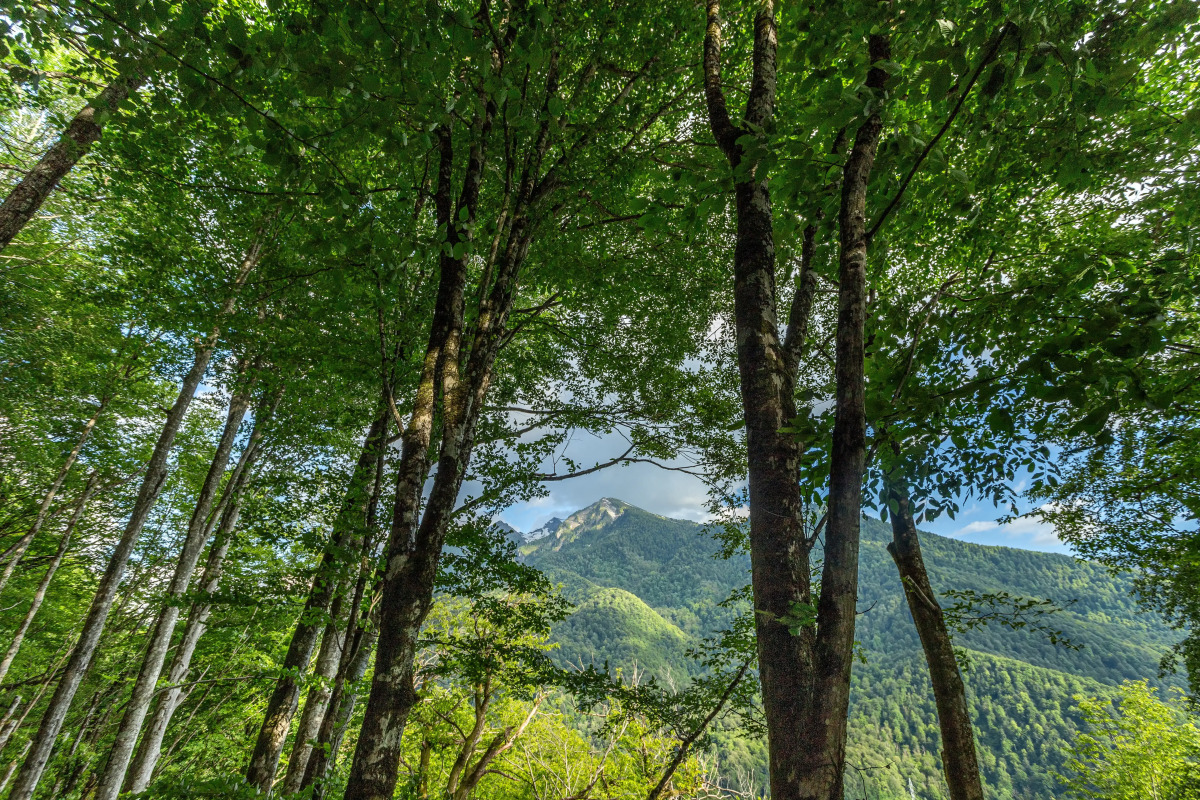 Счастье в тишине