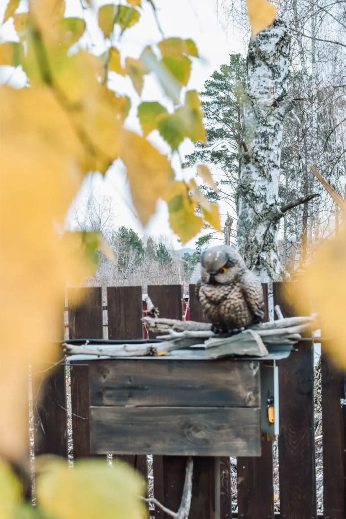 База отдыха Seven Лодж