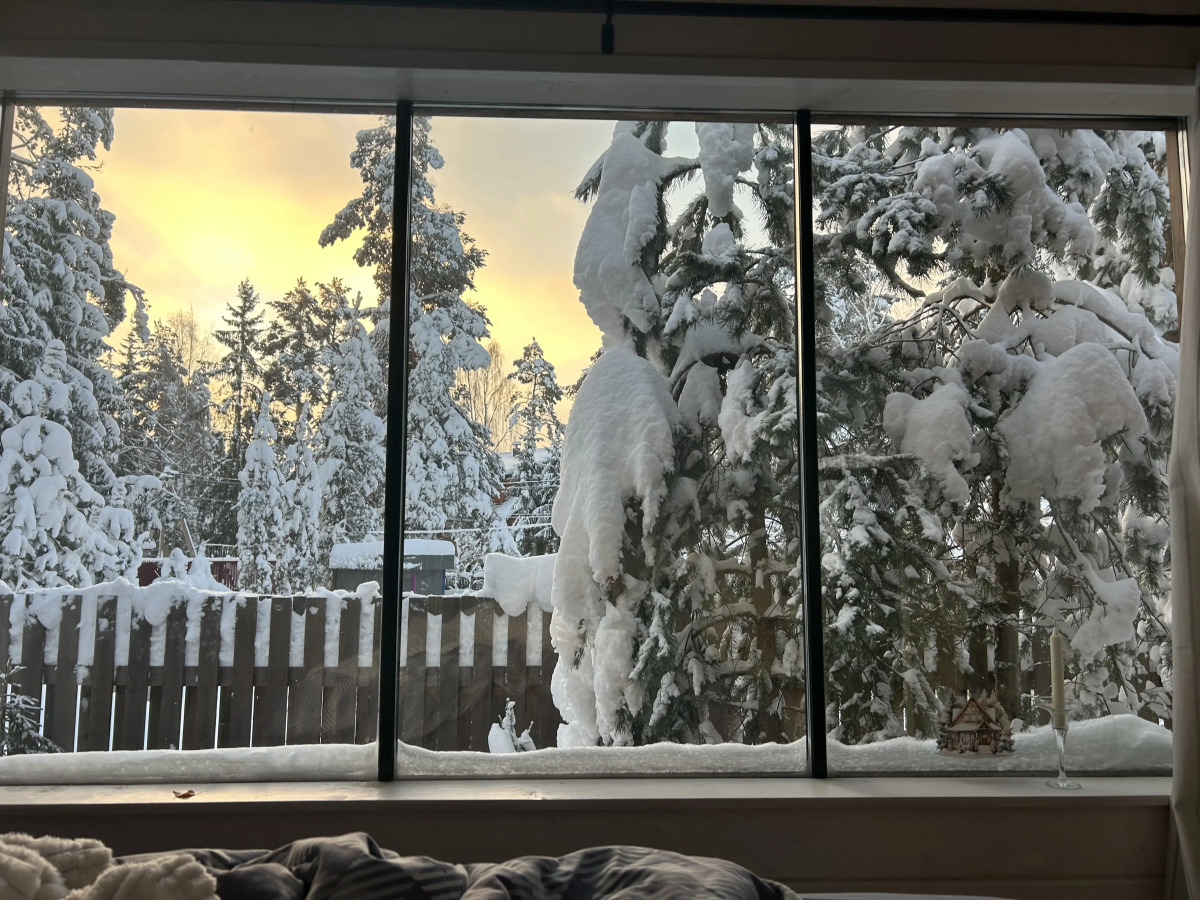 Частный дом у озера с террасой Сосновый дом