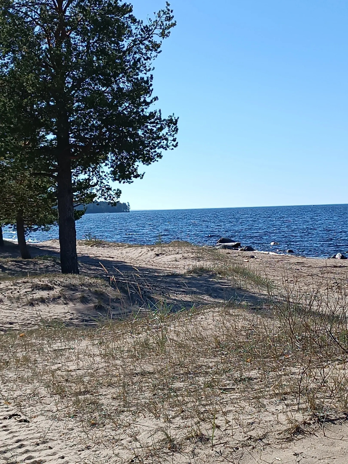Гостевой дом с сауной вблизи реки и озера Ладоги Лисий берег
