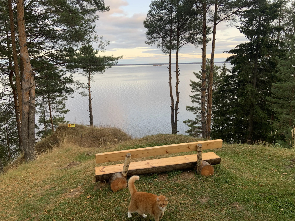 Гостевой дом Глаз орла