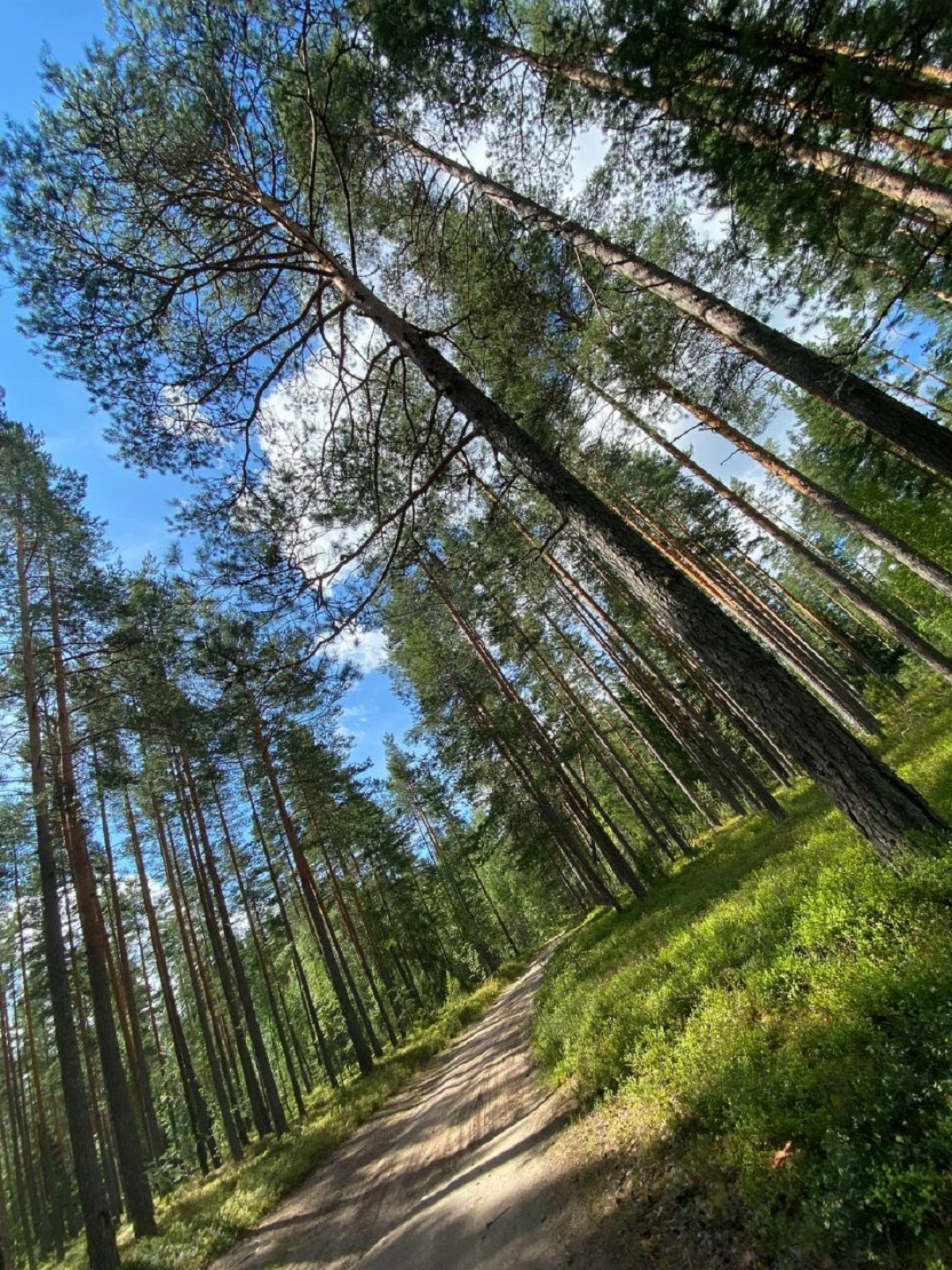 Гостевой Дом Средиземье